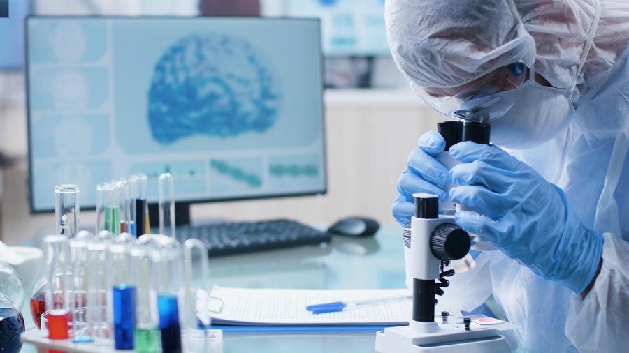 Rabat accueille un congrès international sur le microbiome intestinal et ses enjeux en oncologie et nutrition