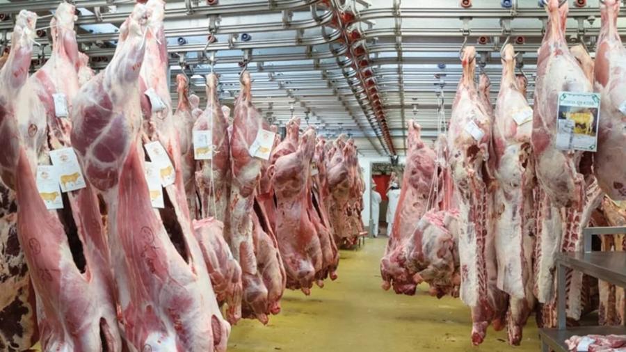 Prix de la viande au Maroc : les causes de la hausse
