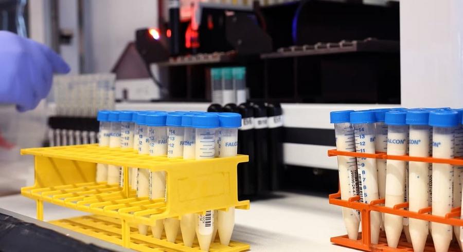 First human case of avian influenza detected in Europe in Italy