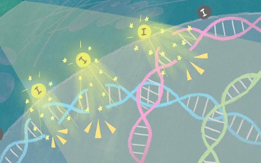 New studies reveal how DNA movement and cell mechanics drive cancer development