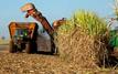 Iran war disrupts global sugar trade as Brazil's new cane season shifts toward ethanol