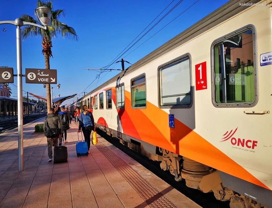 Mobilité durable : comment l’ONCF s’impose comme moteur du Maroc de demain