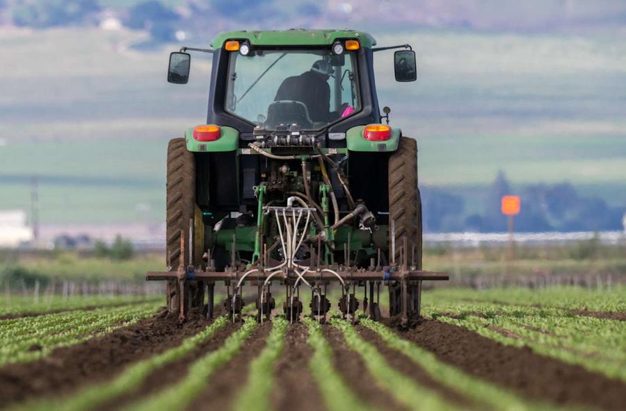 Super El Niño threat compounds Iran war risks to global food supply