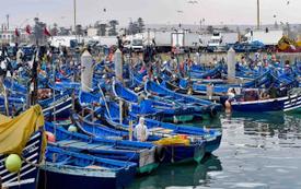 Pêche maritime : recul modéré des débarquements dans les ports méditerranéens au premier trimestre 2026