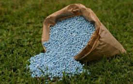 Blocage du détroit d’Ormuz : les marchés des fertilisants sous tension, le Maroc en première ligne