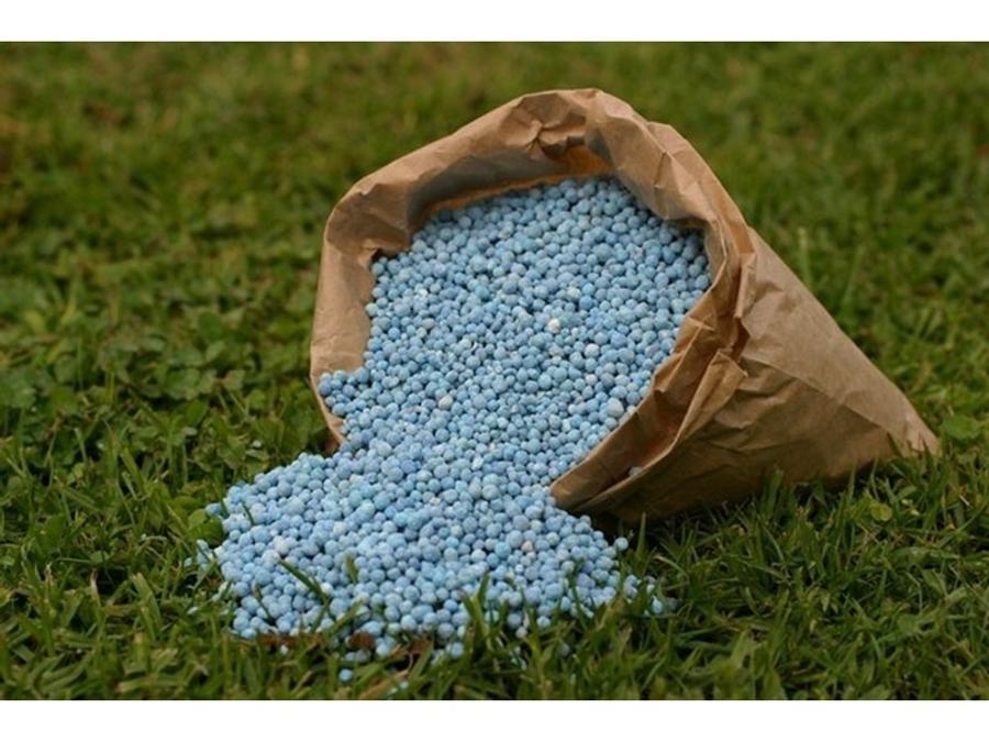 Blocage du détroit d’Ormuz : les marchés des fertilisants sous tension, le Maroc en première ligne
