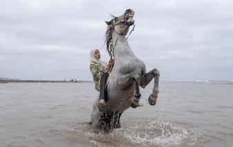 Moroccan women riders gain global spotlight in tbourida tradition