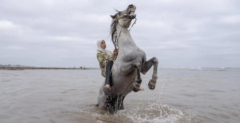 Moroccan women riders gain global spotlight in tbourida tradition