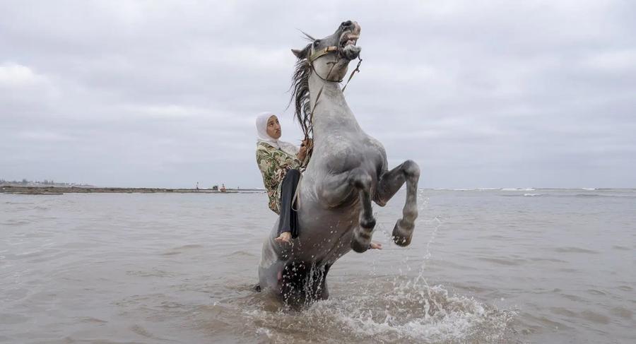Moroccan women riders gain global spotlight in tbourida tradition