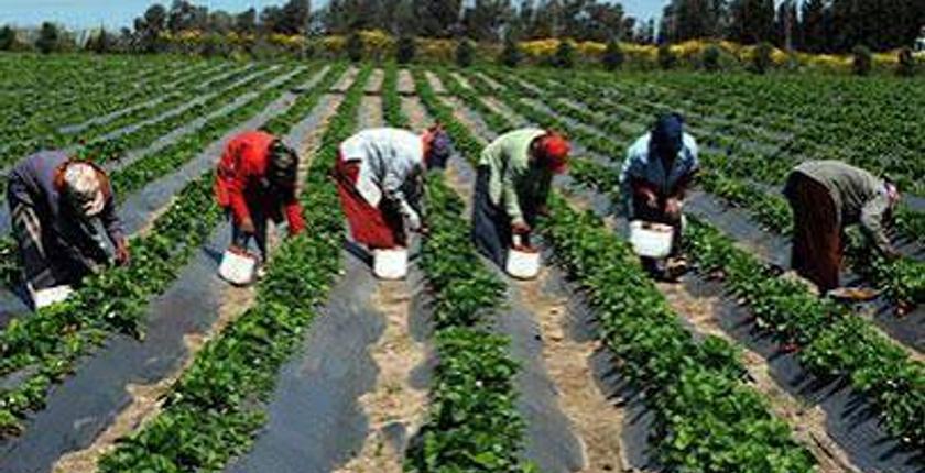 226 مليون دولار من أمريكا لتطوير الفلاحة بالمغرب
