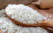 Riz : le Maroc ouvre une enquête face à la hausse des importations