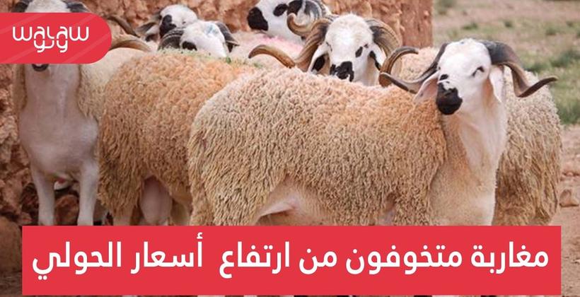 ميكرو طروطوار: مغاربة متخوفون من ارتفاع أسعار "الحولي"