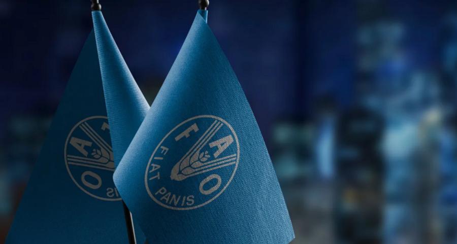 摩洛哥参加在努瓦克肖特举行的联合国粮农组织非洲区域会议高级官员会议