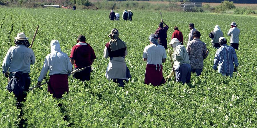 Emploi rural en crise : pourquoi la formation est devenue urgente