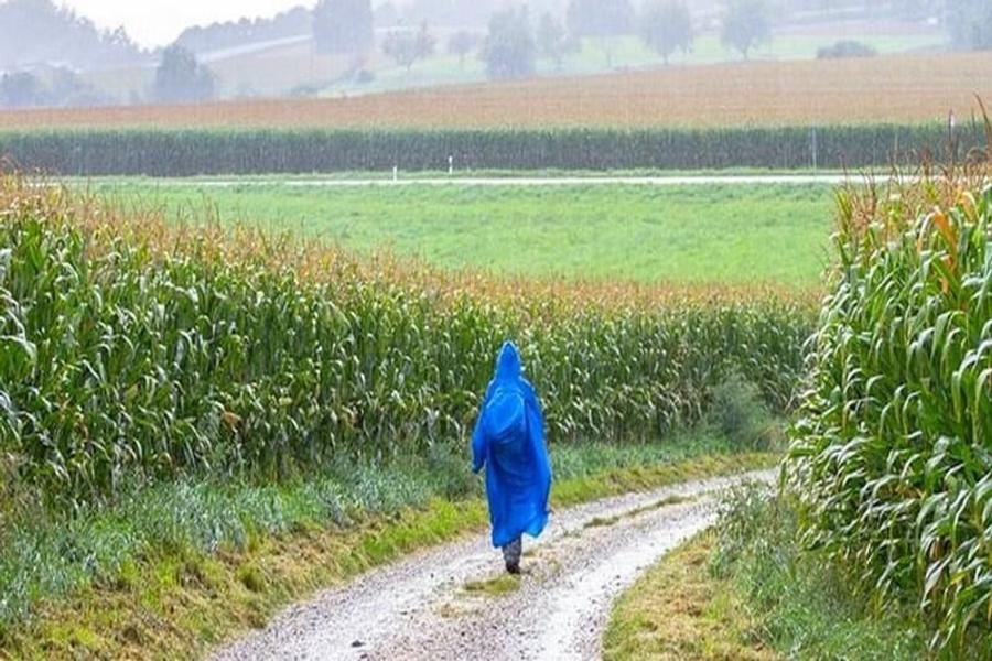 Pluies hivernales : un regain d’optimisme pour la campagne agricole marocaine