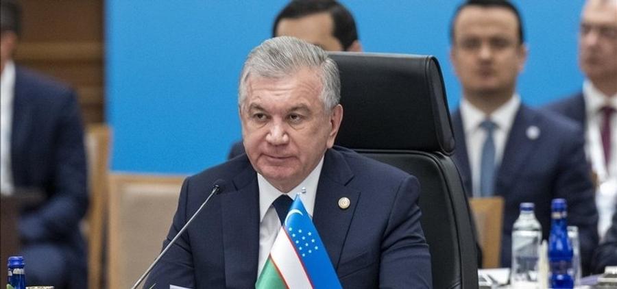 Uzbekistan pledges meaningful contribution to Gaza reconstruction efforts