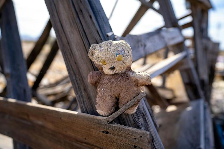 18.500 vítimas de violência doméstica receberam apoio em Portugal