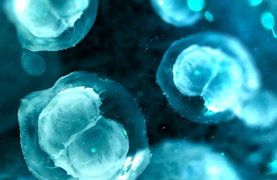 Personalized mRNA vaccine keeps most breast cancer patients in remission
