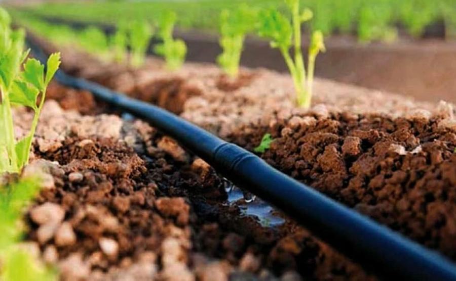 Moyen Sebou–Inaouen Aval : vers une gestion modernisée de 4.600 hectares irrigués