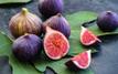 Top countries dominate global fig production in 2025