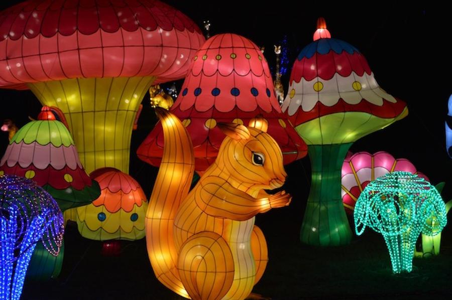 Casablanca mise sur l’art lumineux pour réinventer le Vélodrome d’Anfa