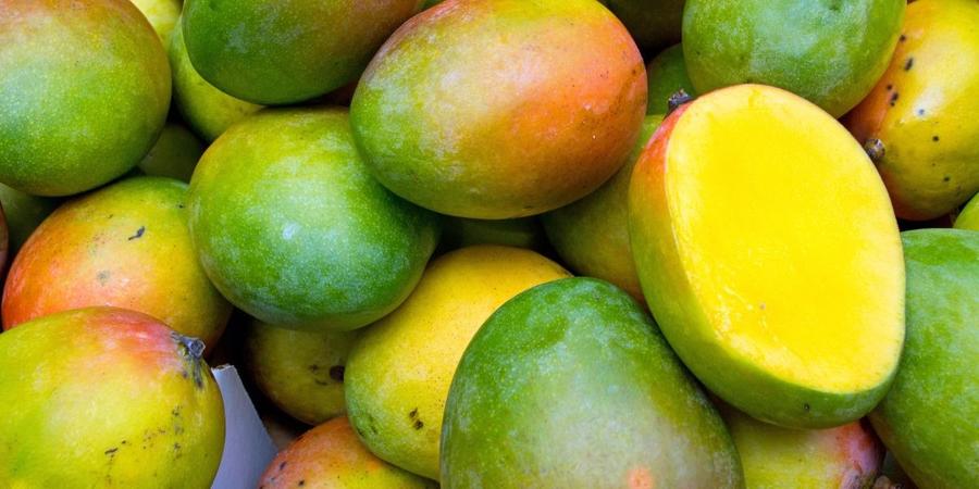 Mangues maliennes : le Maroc devient un marché stratégique après la suspension européenne