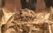 Saint Francis of Assisi relics displayed publicly in Italy for first time