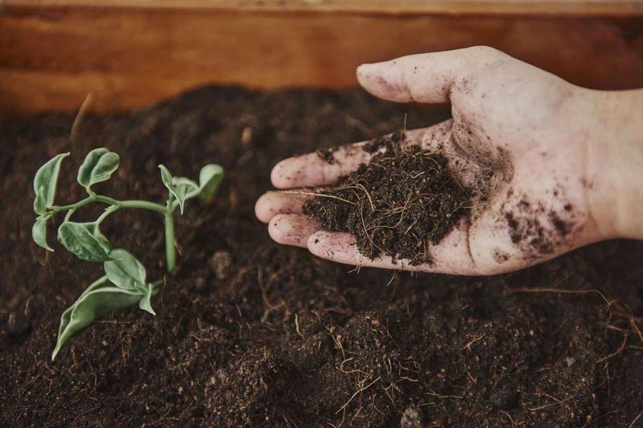 Asilah accueillera la première usine régionale de biostimulants portée par EVALOR
