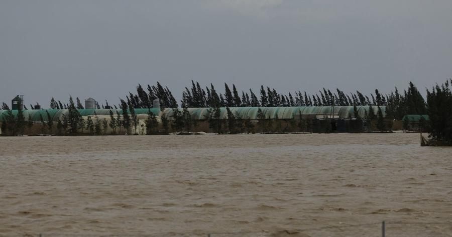 Inondations et pertes agricoles : le monde rural exige des réponses urgentes