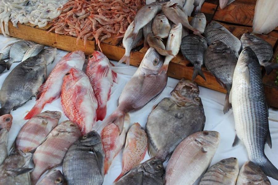 Maroc : face à la flambée des prix du poisson, le plafonnement se profile comme ultime recours