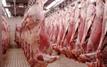 Abattoirs de Casablanca : Une année record en 2025 avec plus de 30 millions de kilos traités