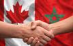 Intempéries au Maroc : le Canada exprime sa solidarité avec les populations touchées
