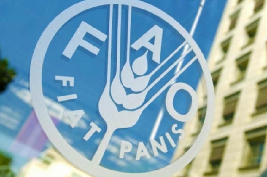 联合国粮农组织数据显示，2026年1月全球食品价格持续下跌