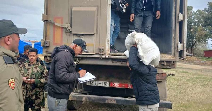 Inondations dans le Loukkos : un soutien fourrager massif en faveur des éleveurs