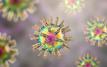Modified herpes virus boosts immune attack against deadly brain cancer