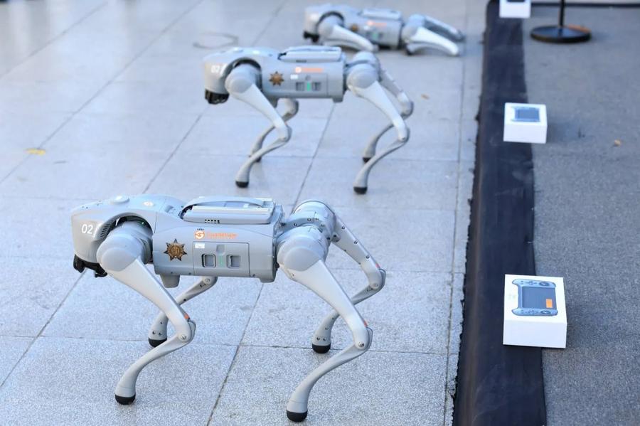 Robot dogs to assist Mexican police during 2026 World Cup