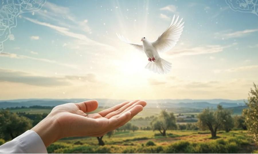 الإسلام والقيم الإنسانية: رسالة السلام والتسامح