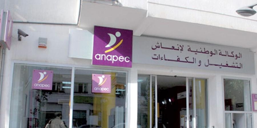 Emploi : l’ANAPEC se prépare à une refonte stratégique majeure
