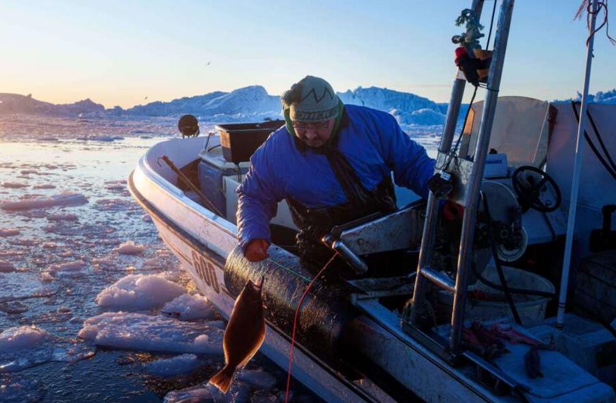 Greenland fishers struggle as Arctic warming melts vital sea ice