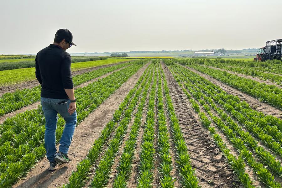 Canada offers financial aid to farmers hit by Iran war price surge
