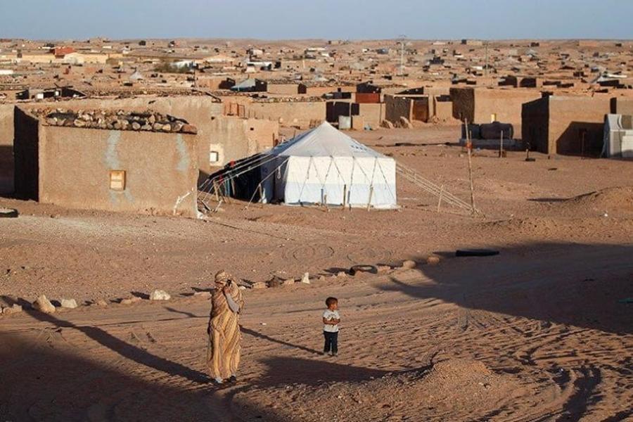 Affaire d’un enfant maltraité à Tindouf : des ONG interpellent le Conseil des droits de l’homme