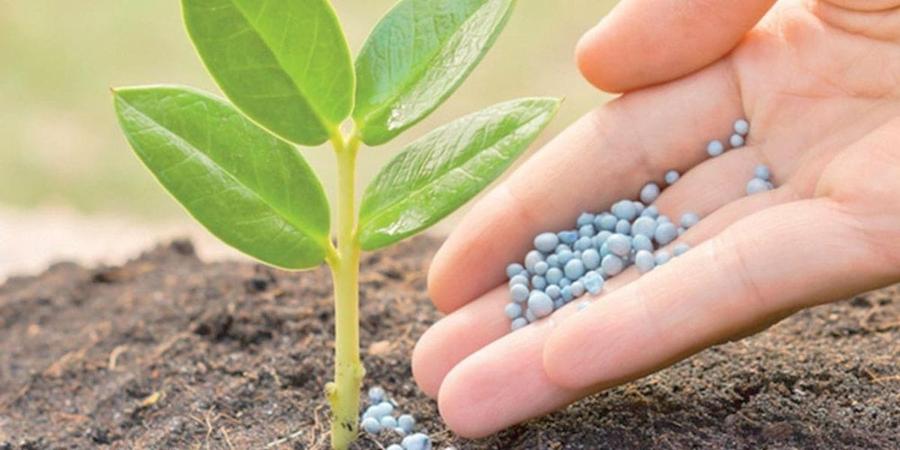 Agriculture mondiale : tensions au Moyen-Orient et flambée attendue des engrais azotés