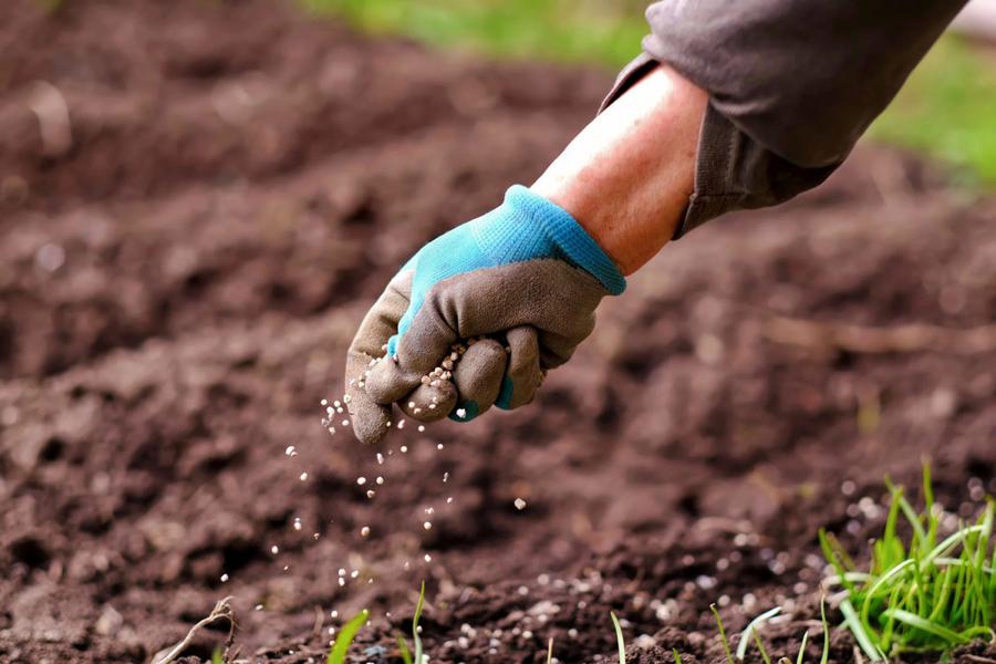 Phosphate et urgence agricole : le Maroc sous les projecteurs mondiaux