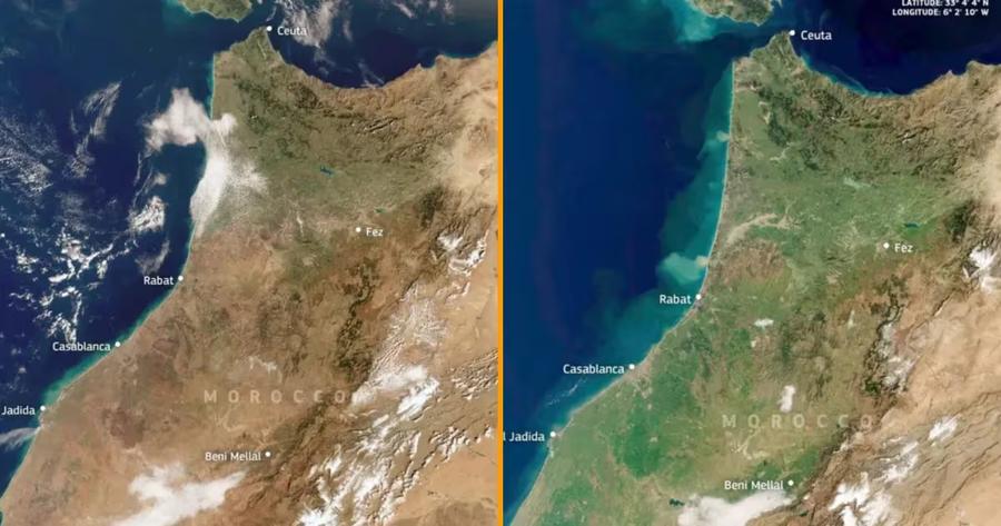 Images satellites : comment les pluies ont transformé le Maroc en douze mois
