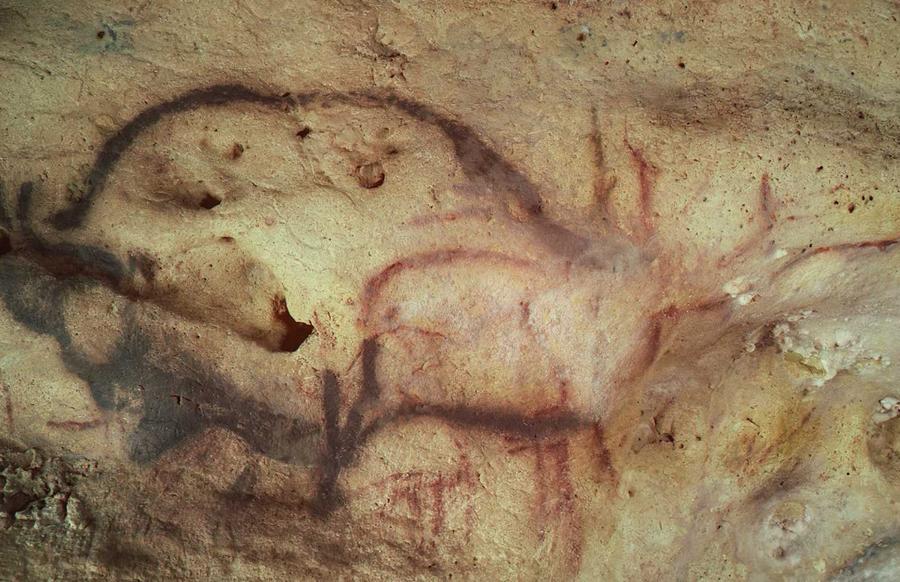 Científicos datan por primera vez las pinturas rupestres de Font-de-Gaume en Francia