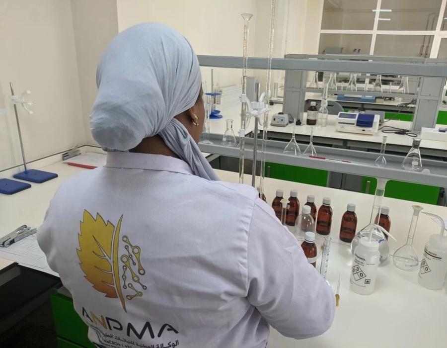 Plantes médicinales : le PJD rejette la disparition de l’ANPMA