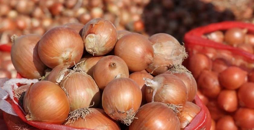 إنتاج البصل..طفرة في التصدير و أزمة في الأسواق المغربية