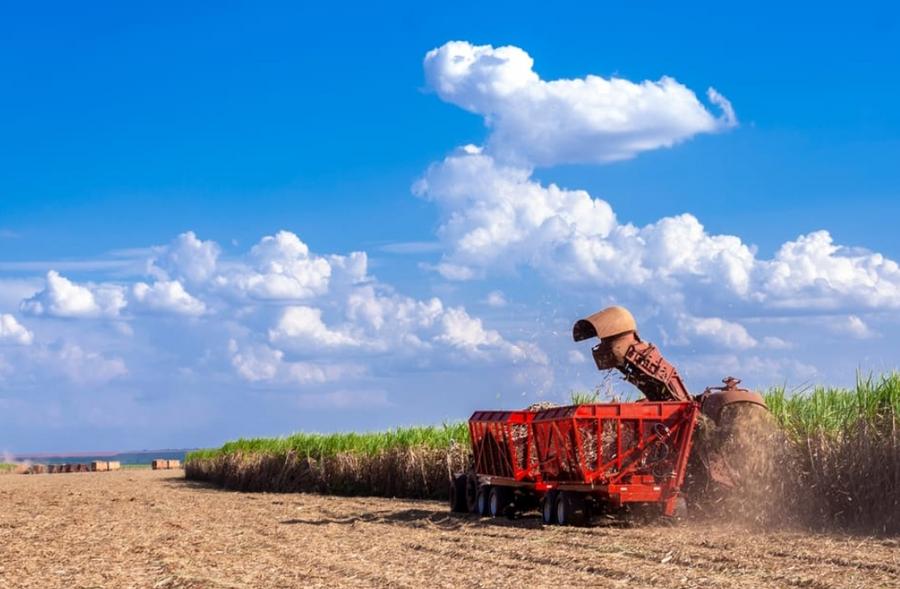 Sugar prices rise as Middle East oil shock threatens Brazilian supply