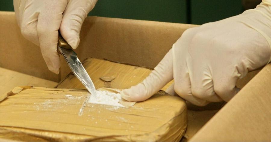 Belgian police arrest 11 suspects after major cocaine seizure in Rotterdam