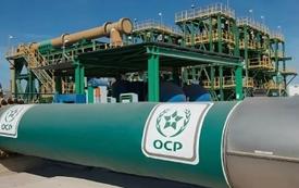 Engrais phosphatés : le Maroc redevient un partenaire clé des États-Unis pour la sécurité alimentaire